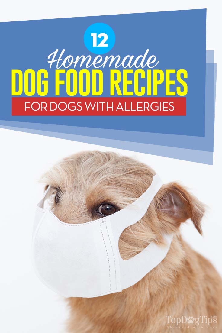 12 Homemade Dog Food Recipes for Dogs with Allergies 12 Homemade Dog Food Recipes for Dogs with Allergies