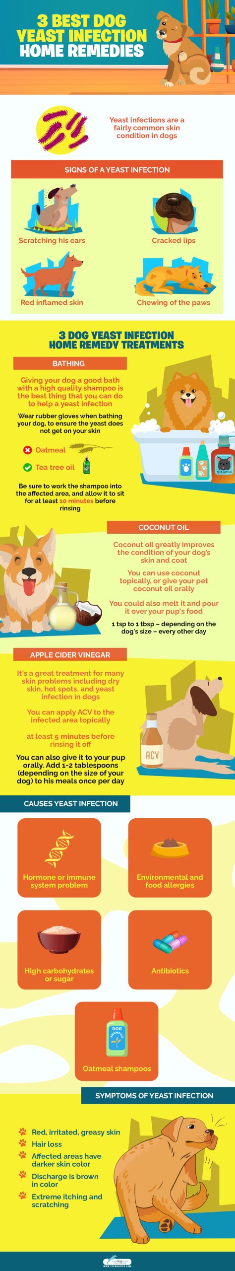 Dog Yeast Infection Home Remedies