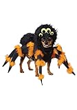 California Costumes Spider Pup Costume X-Small