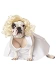 CALIFORNIA COSTUME COLLECTIONS Pet SILVER SCREEN STARLET Dog Costumes, White, X-Small US