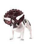 California Costumes Pet Butterfly Dog Costume