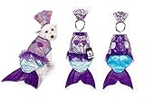 Iridescent Mermaid Dog Costume Mythical Blue Purple Shimmery Shell Top xSmall