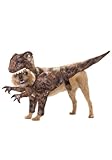 California Costumes Pet Raptor Dog Costume