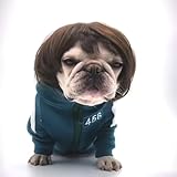 TESSVEYA Funny Dog Cat Cosplay Wig,Pet Wigs for Halloween, Christmas, Parties, Festivals, Dog Wigs for Small Medium and Large Dogs （Black Brown Straight）