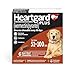 HEARTGARD® Plus (ivermectin/pyrantel) Real-Beef Chewables for Dogs 51-100 lbs (Brown Box) 6 Month Supply of Chews (Heartworm Disease Preventive)