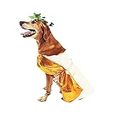 Midlee Toga Dog Halloween Costume (XXX-Large)