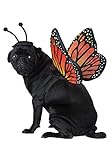 California Costumes Pet Butterfly Dog Costume