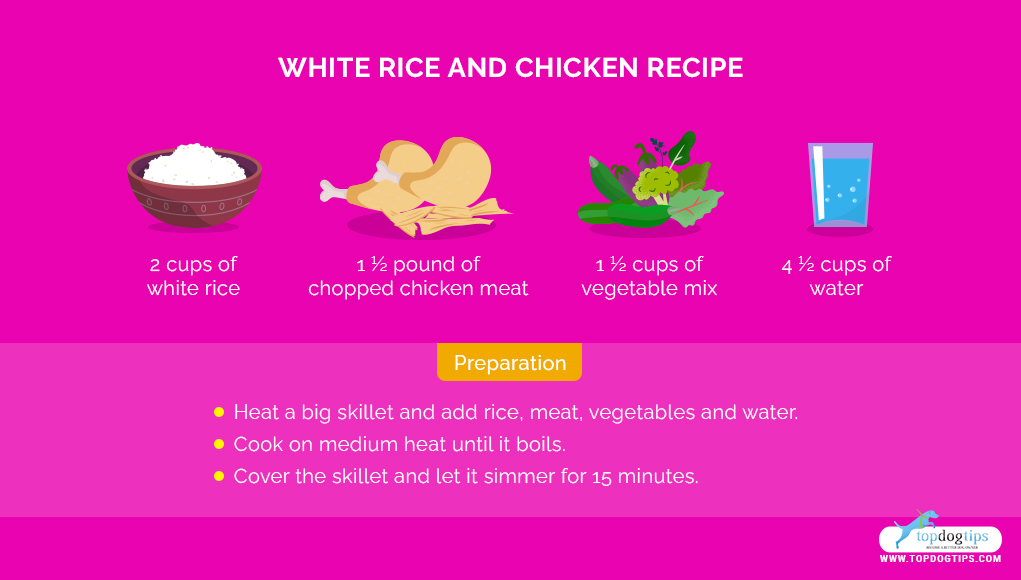 Homemade Dog Food for Sensitive Stomach: White Rice and Chicken Recipe Infographic