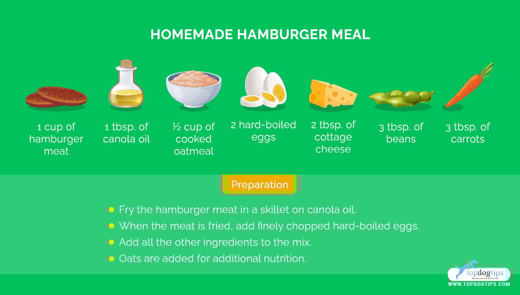 Homemade Dog Food for Sensitive Stomach: Hamburger Meal