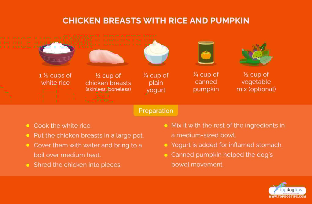 Homemade Dog Food for Sensitive Stomach: Chicken Breasts with Rice and Pumpkin
