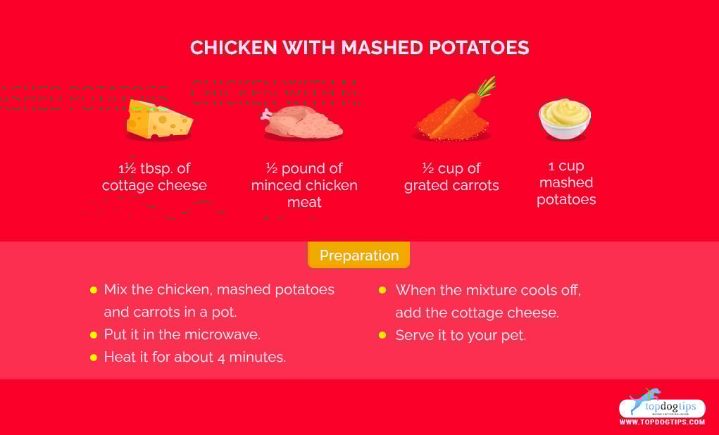 Homemade Dog Food for Sensitive Stomach: Chicken with Mashed Potatoes