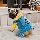 Despicable Me: Minion Pet Costume for For Dogs or Cats by Rubies, Medium