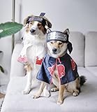 ChoChoCho Anime Pet Cosplay Dog Costume for Cats & Dogs - Ninja Cloak Outfit - Ideal for Halloween, Cosplay Events - Suitable for Puppies, Small & Medium Pets (L/XL, Seventh Hokage)