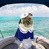 NAMSAN Pet Sailor Costume for Cats Small Dogs, Cat Halloween Costumes, Small Dog Sailor Outfit, Cat Sailors Hat with Tie Collar, Pet Navy Costume for Kitten Puppy Statue Toys Decoration