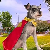 DC Superman Movie (2025): Krypto Pet Cape & Collar by Rubies for Dogs or Cats, Extra Large