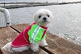 Louie de Coton Dog Clothes | Dog Shirts for Large Dogs | Dog Sunscreen Cooling T-Shirt for Dogs with UPF50+ Max Protection from Sunburn | Cooling Vest for Dogs Made in USA Sun Shirt for Dogs