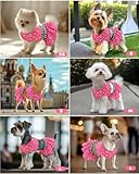 CuteBone Two Piece Dog Sports Dress Athleisure Puppy Skirt Lightweight Small Dogs Girl Clothes Cat Apparel SPS11L
