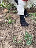 LONSUNEER Paw Protector Dog Boots Set of 4 Breathable and Protect Paws Soft Nonslip Soles Color Black Size Small