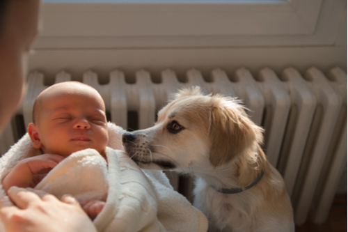 Cute Baby and Dog