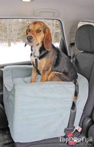 The Necessity of Pet Car Seats The Necessity of Pet Car Seats