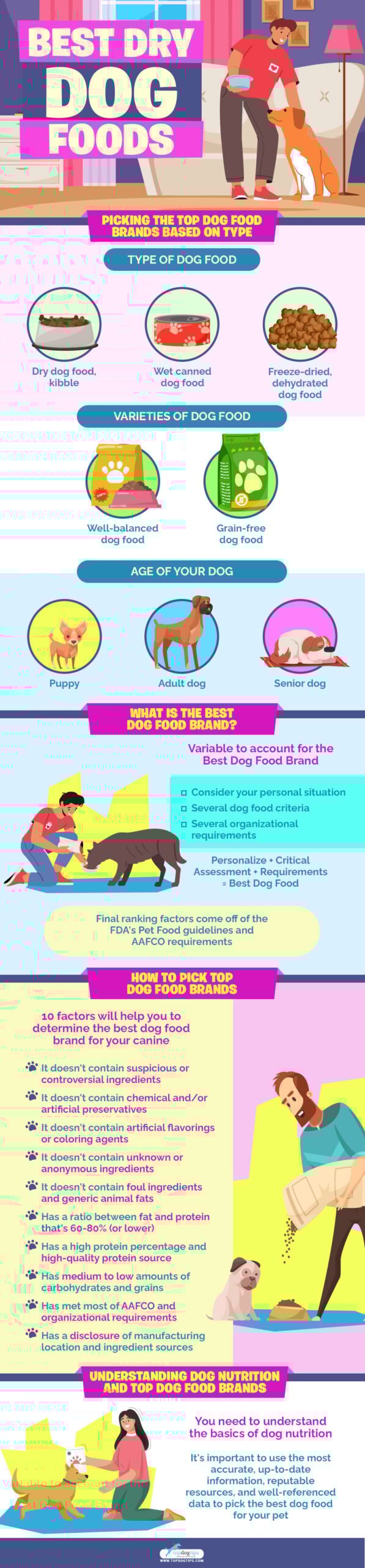 Best Dry Dog Foods infographics