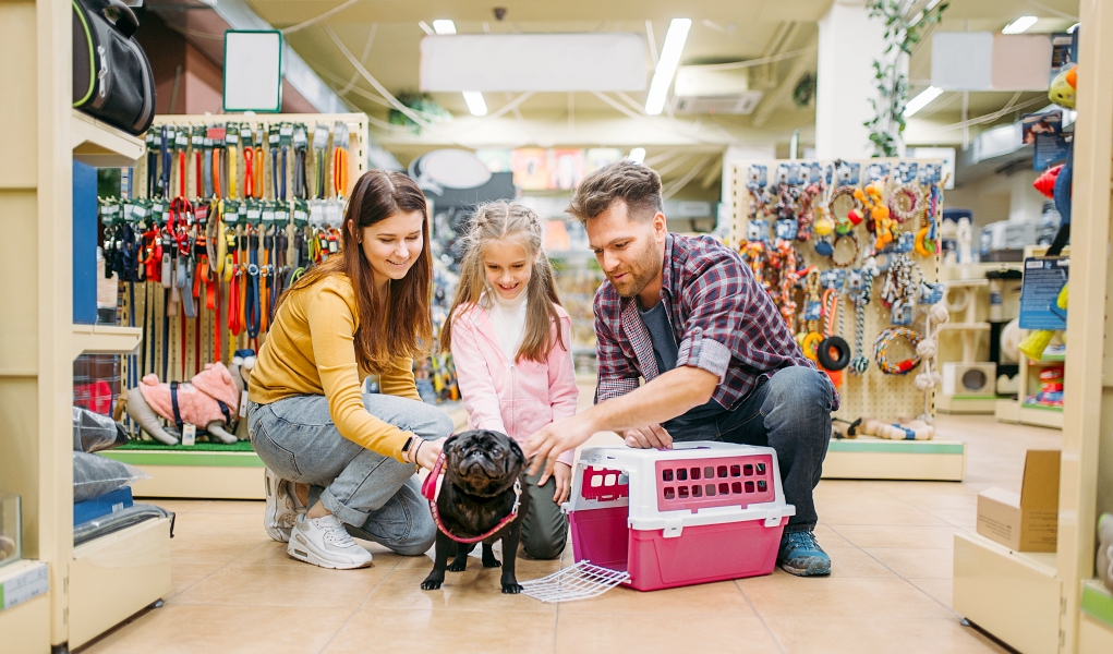 must-have puppy products