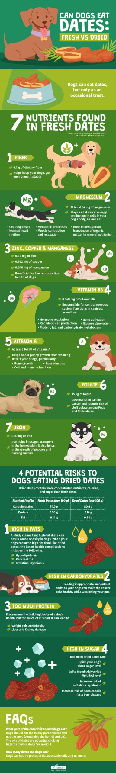 Can Dogs Eat Dates - Fresh vs Dried Infographics