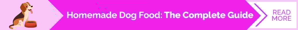 Homemade Dog Food The Complete Guide