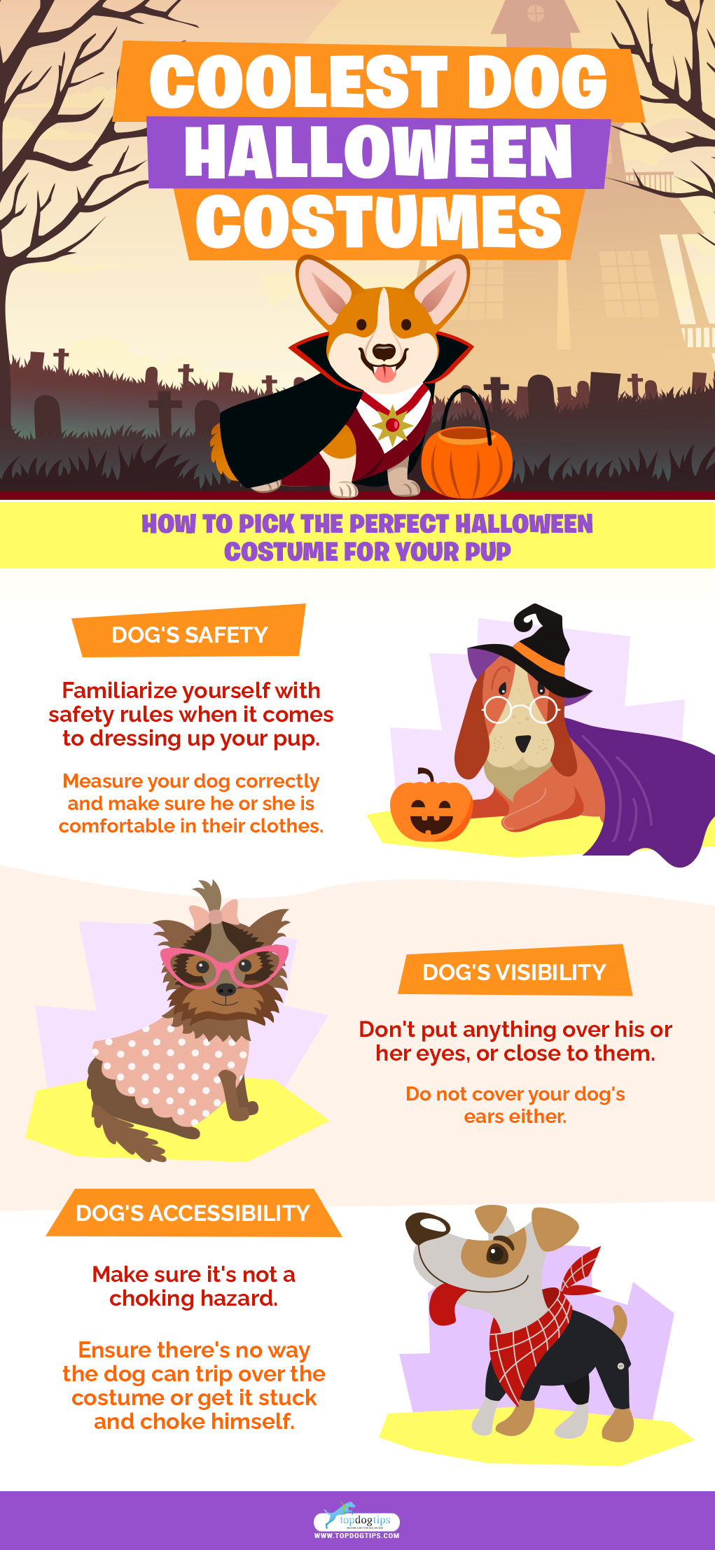 Best Dog Halloween Costumes Safety Tips infographics