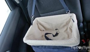 How Devoted Doggy looks attached. How Devoted Doggy looks attached.