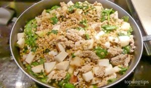 Turkey Stir-Fry (Homemade Dog Food for Allergies)