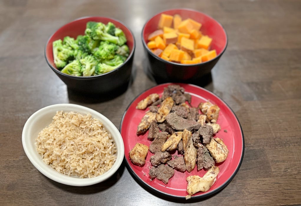 dog food for Cushing's Disease