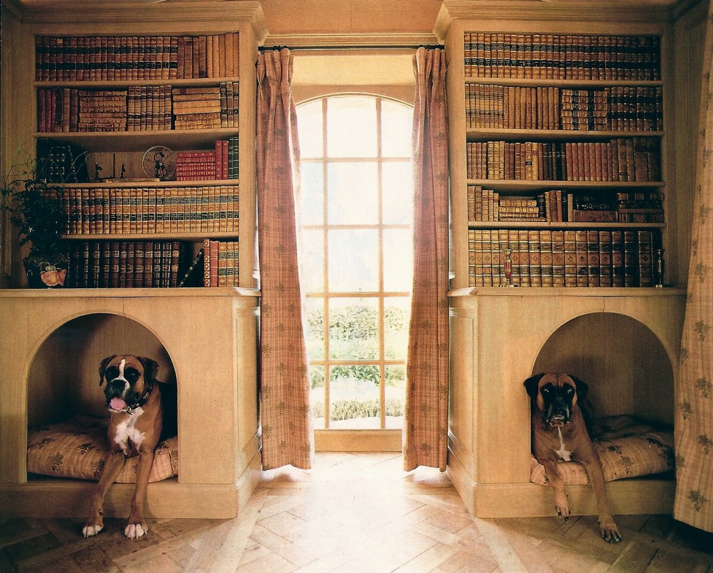 Dog Corner Ideas #3: Reading & Dog Nook