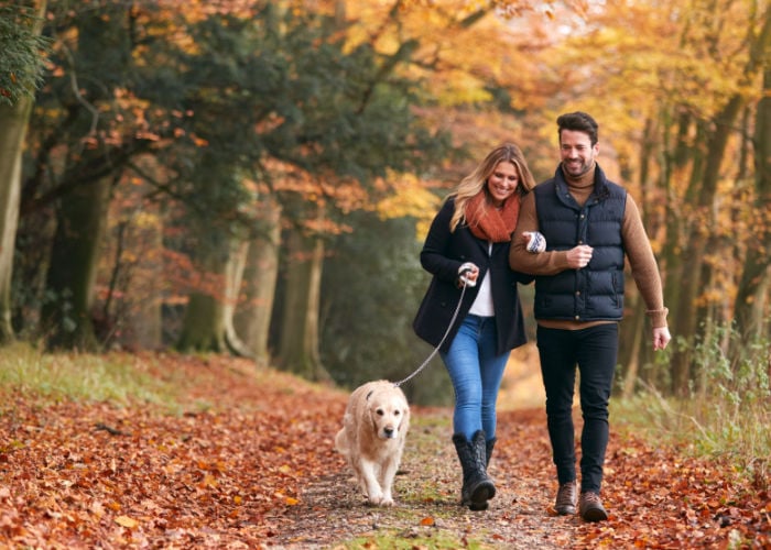 dog-with-owners-in-autumn