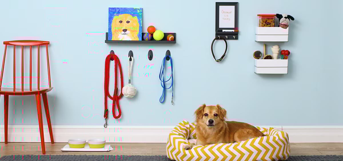 Dog Corner Ideas #4: Doggy Command Center