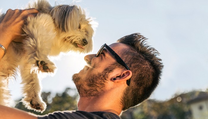 Oxytocin in dogs and pet owner