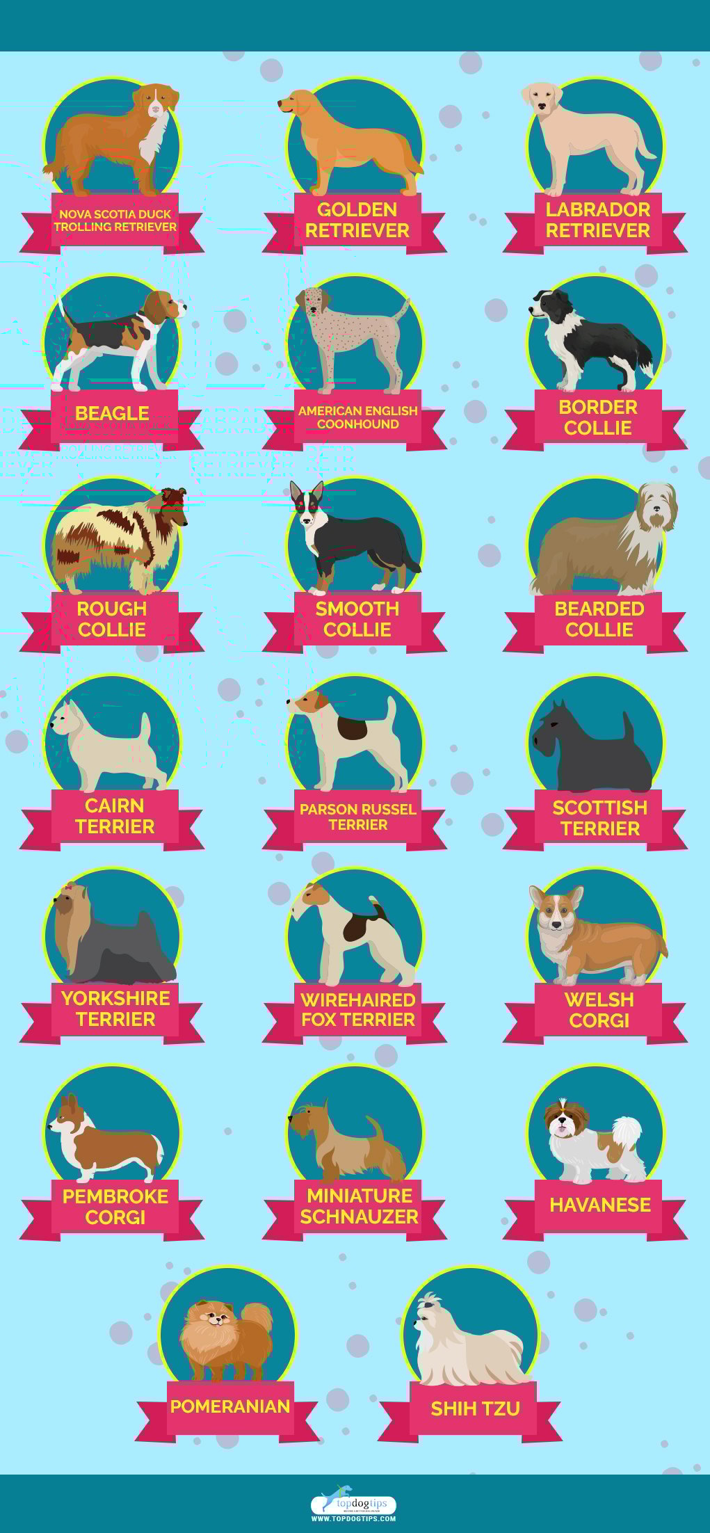 Double Coated Dog Breeds