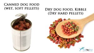 Dry dog food vs Canned dog food Dry dog food vs Canned dog food
