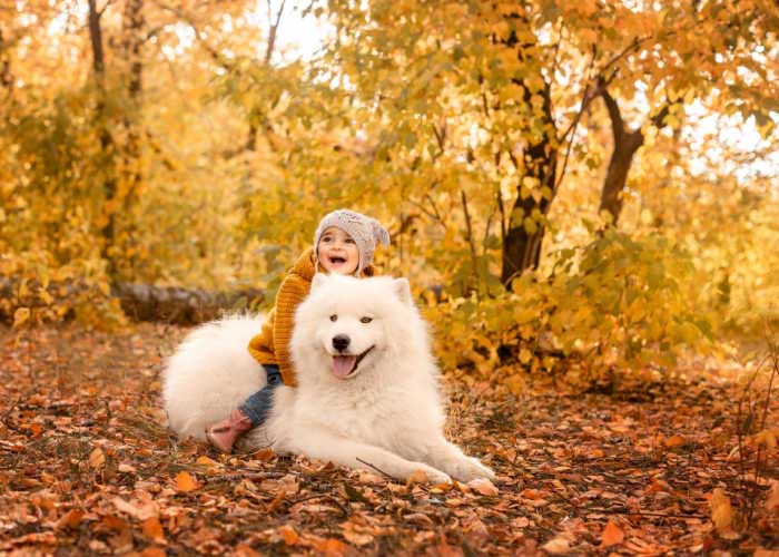Dogs Love the Fall Season