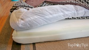 How to Choose the Best Dog Bed for Your Pet