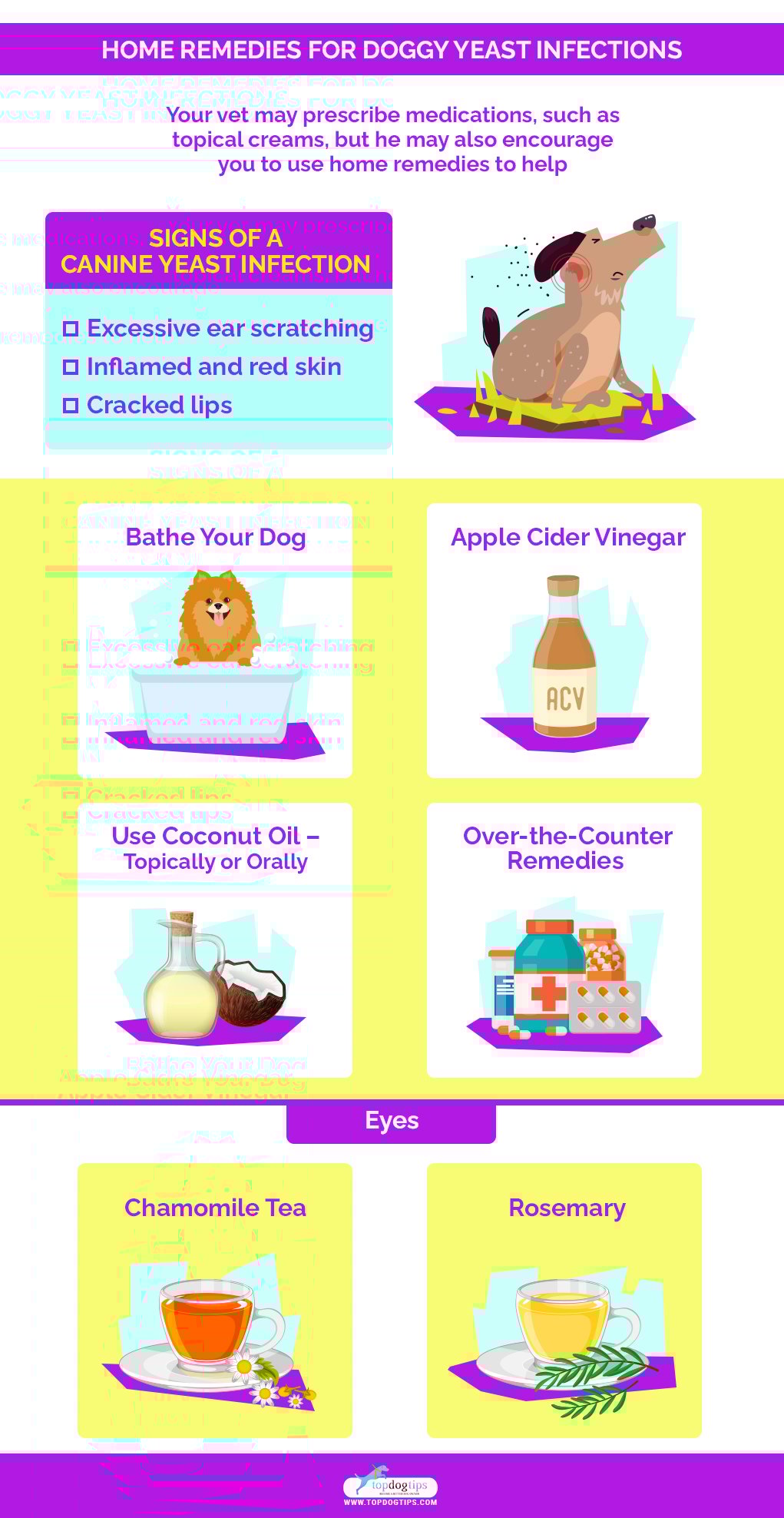 Home Remedies for Dog Yeast Infections