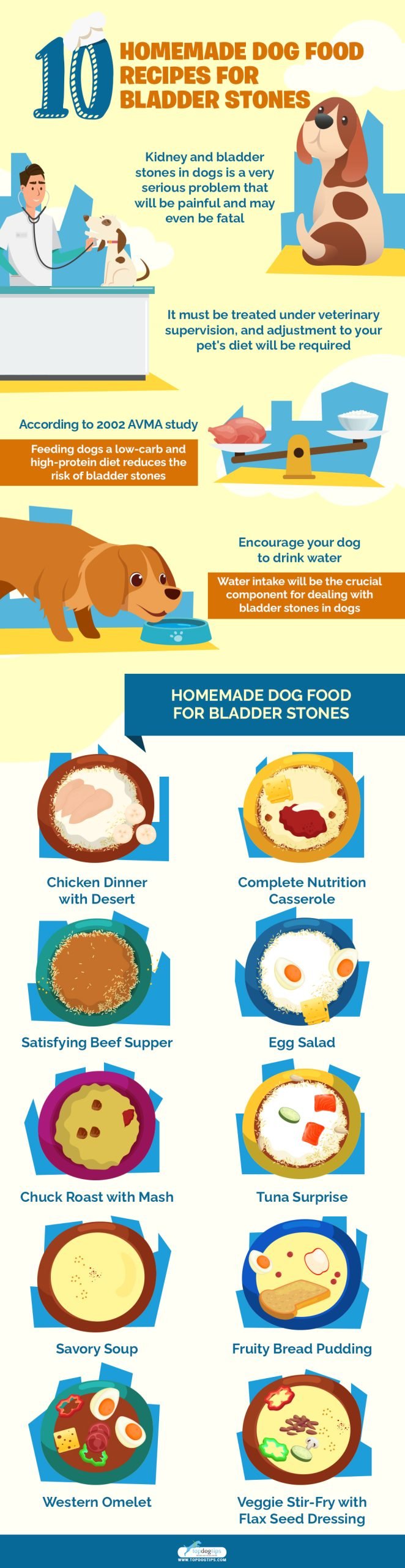 Homemade Dog Food for Bladder Stones