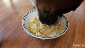 My dog enjoying this homemade dog food for liver disease