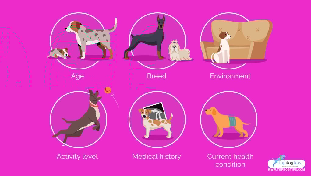 Factors that affect the nutritional requirement and homemade dog food suggested serving per dog.