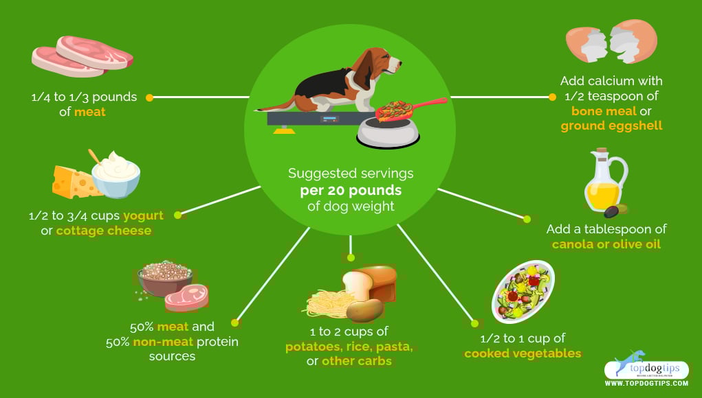 How Much Homemade Dog Food to Feed A Dog per Ingredient (General Guidelines)
