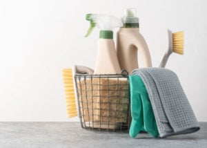 Some household cleaning products are toxic to dogs