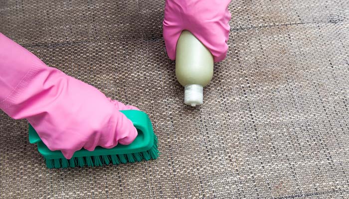 How to Get Dog Pee Out of Mattress - Most Effective Techniques How to Get Dog Pee Out of a Mattress - Most Effective Techniques