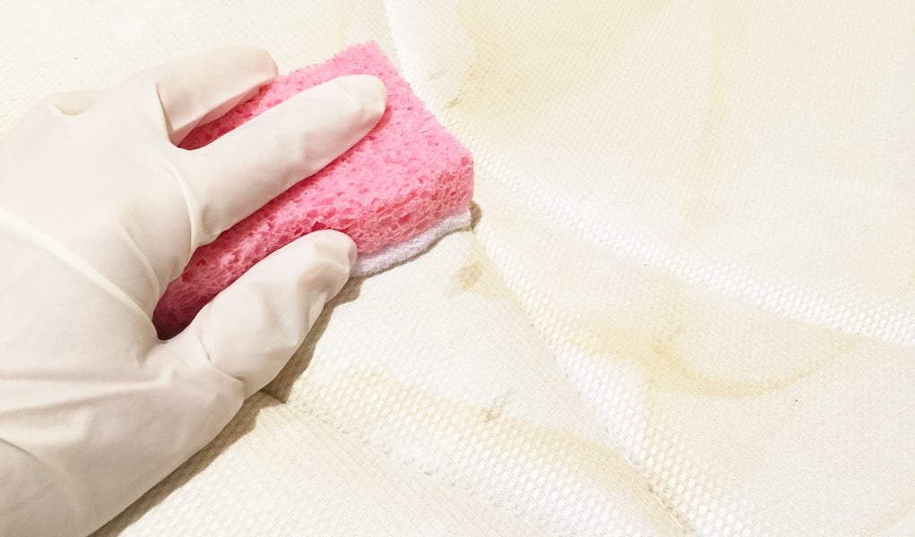 How To Get Dog Pee Out of A Mattress