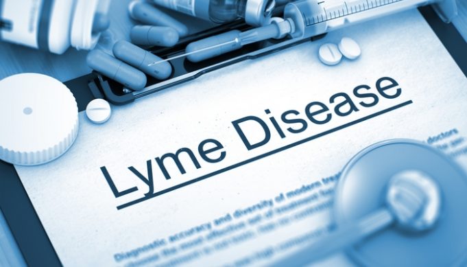 Lyme Disease in Dogs: How to Know and What to Do Featured Image Lyme Disease in Dogs: How to Know and What to Do Featured Image