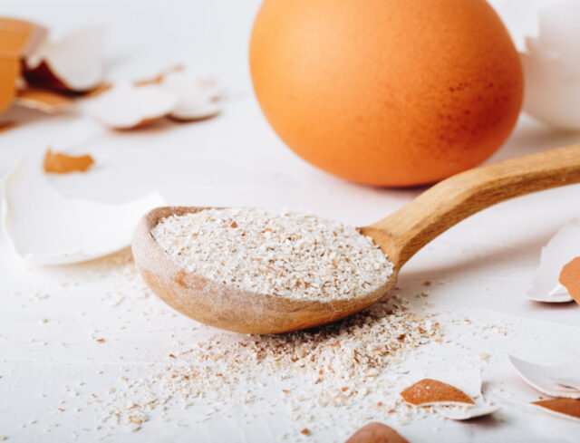 My Dog Ate Eggshells featured image My Dog Ate Eggshells featured image